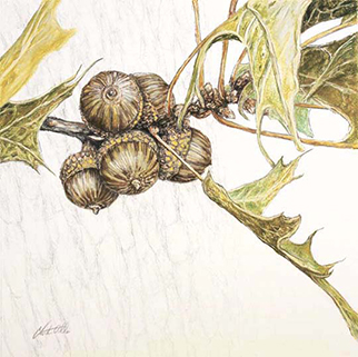 Seeds of Strength and Love